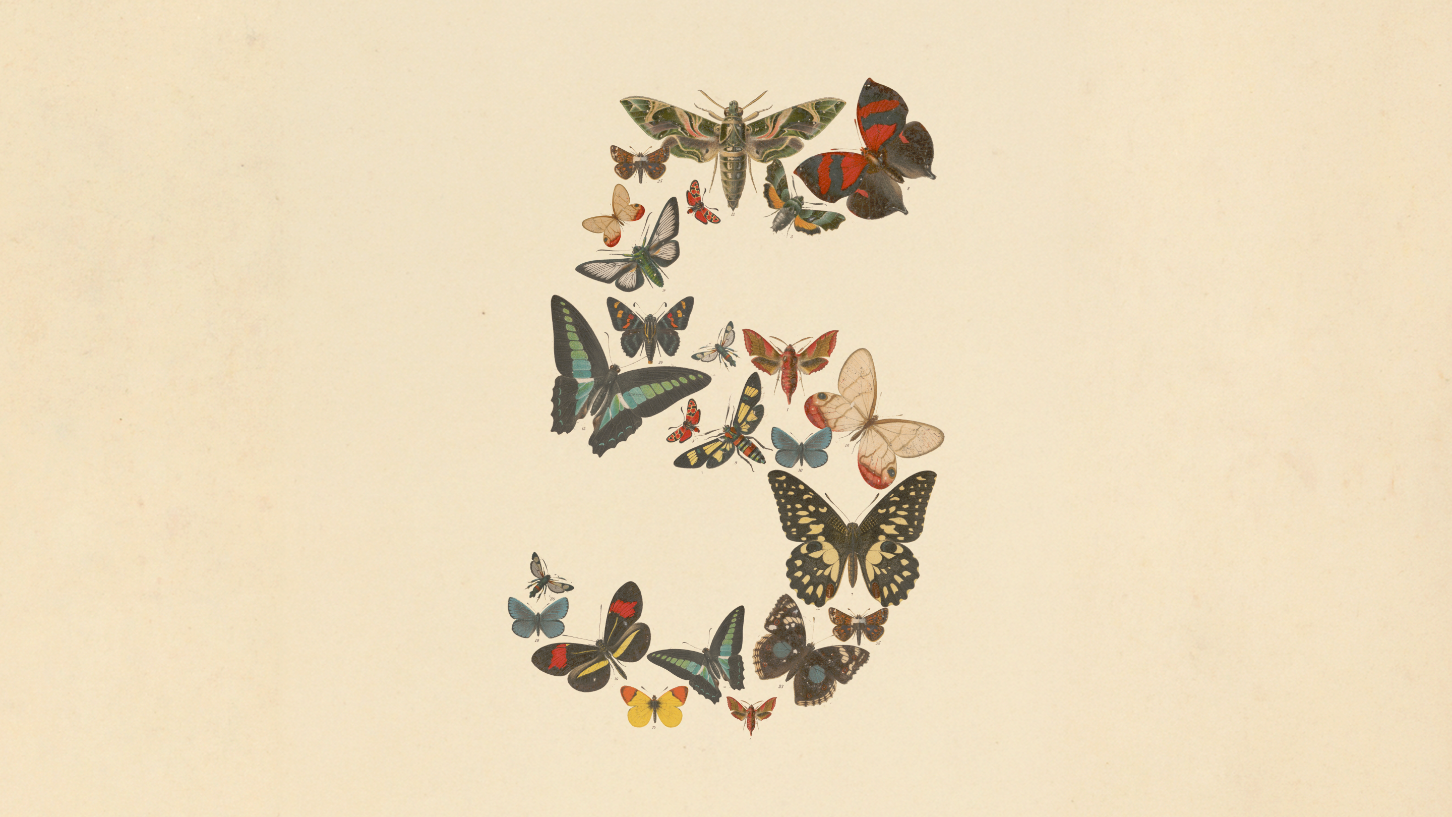Claude Fable 5 和 Mythos 5